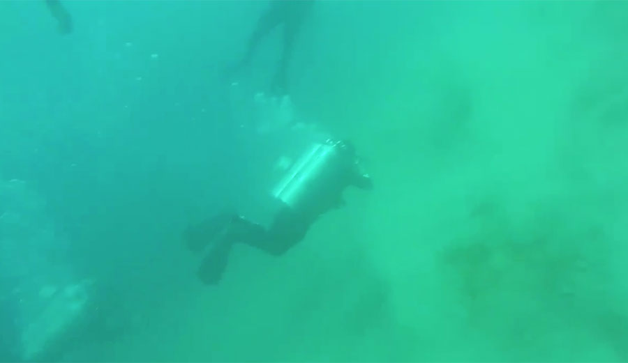 We know what earthquakes look like on dry land, but have you ever wondered what they look like under the sea?