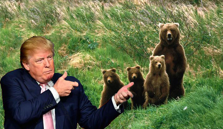 Now you can shoot bears and wolves from aircraft in Alaska. Because everyone loves a fair fight!