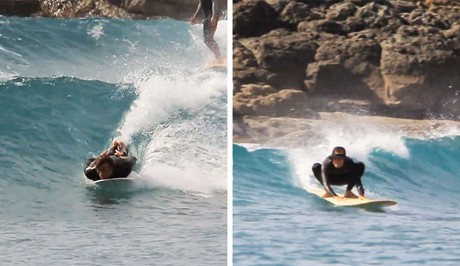 This is so much better to see than the cranky old average surfer at every spot, isn't it?