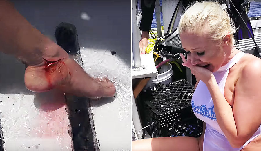 There's a good chance that Molly Cavalli and CamSoda staged the whole shark attack. Above, Molly tests out her acting skills.