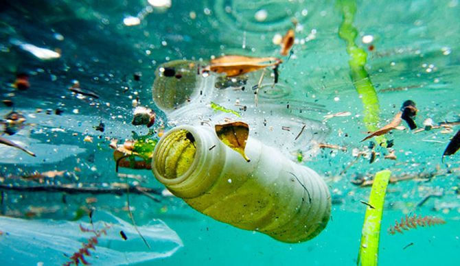 If one theory is correct, microbes may be evolving to clean up our mess. Photo: Elite Reader