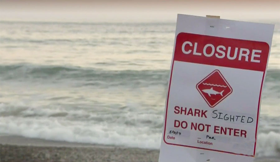 San Clemente beach closures