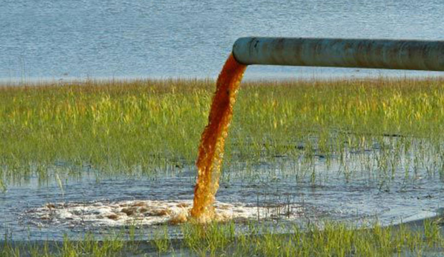 Care for a sip?