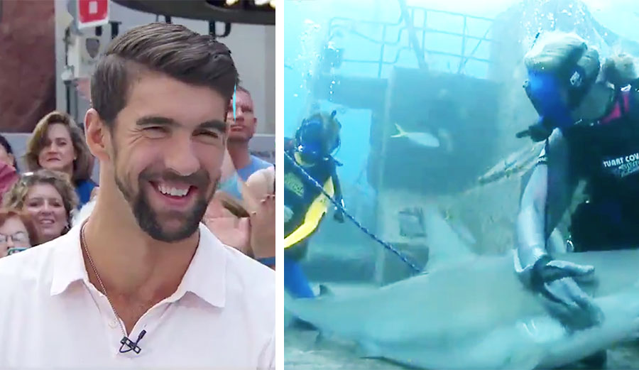 By now you have surely heard the news that Michael Phelps is going to race a great white shark. It is, in nearly every sense of the word(s) the purest form of click bait ever created.
