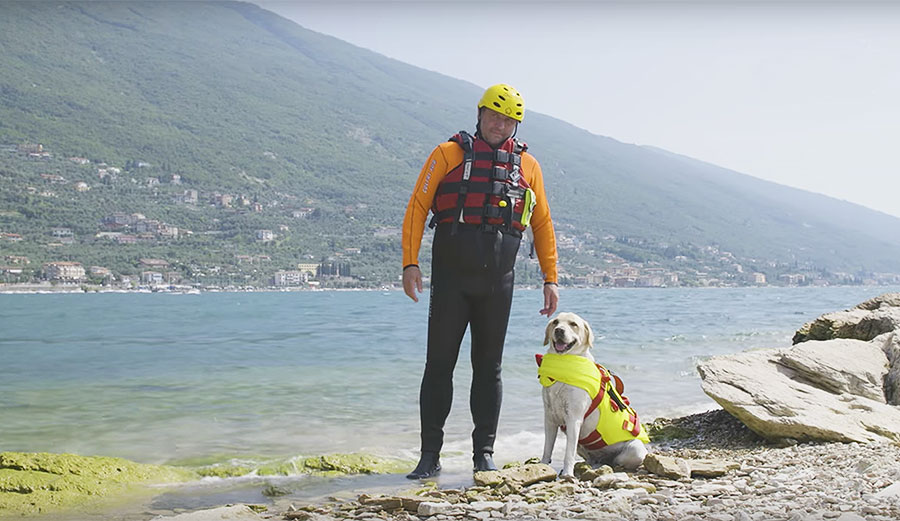 Italy has dog lifeguards. Real dog lifeguards.