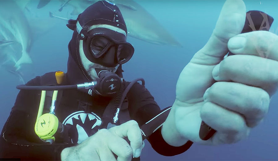 Would you slice yourself while sharks swam around you see see how much they actually like blood?
