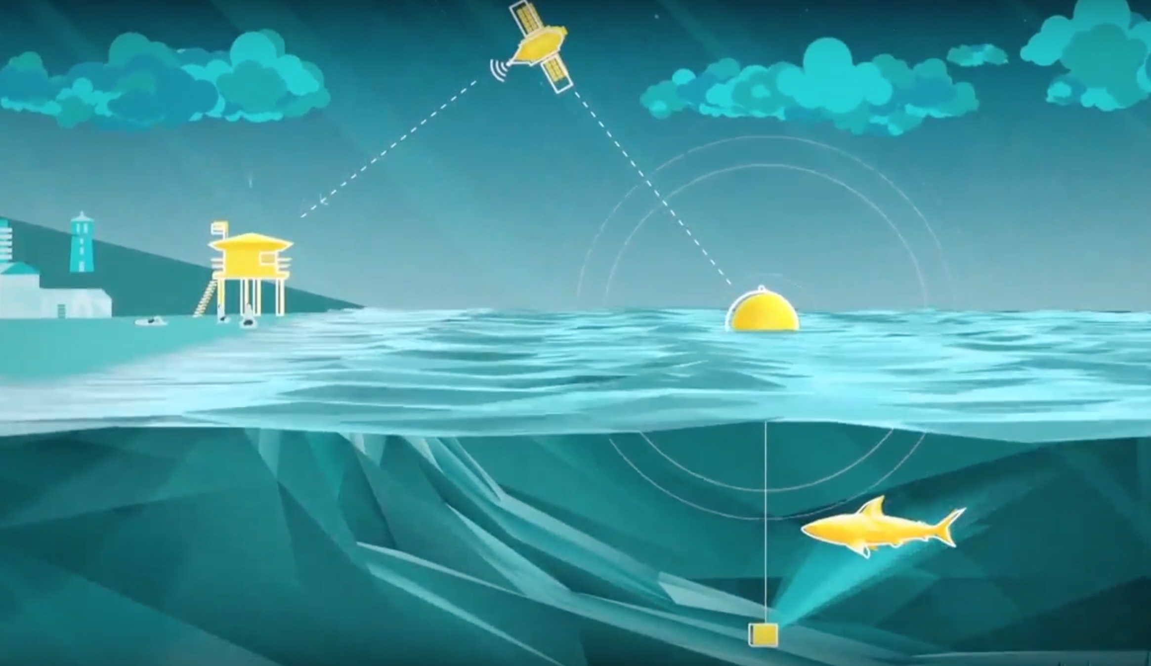 The Clever Buoy Shark Mitigation System.