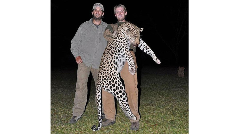 Donald Trump Jr. and Eric Trump, the U.S. president’s sons, are seen here with a leopard they hunted in 2011 in Zimbabwe. Image: HuntingLegends.com