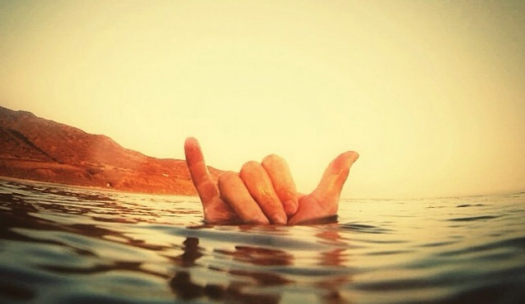 This is the shaka!