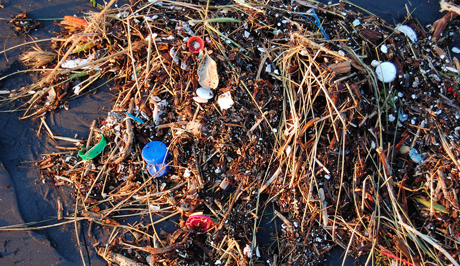 Plastic trash on San Francisco’s Ocean Beach.