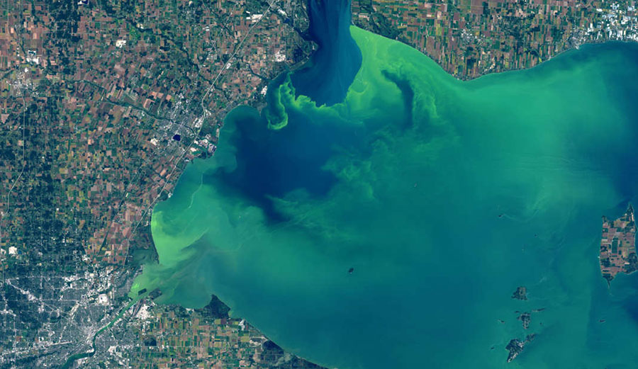 That's eerie, isn't it? Image: Landsat 8/NASA/NOAA