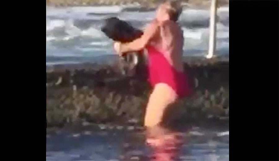When Melissa Hatheier went for a dip in the pool at Oak Park in Cronulla, Australia, she wasn't expecting to find a shark.