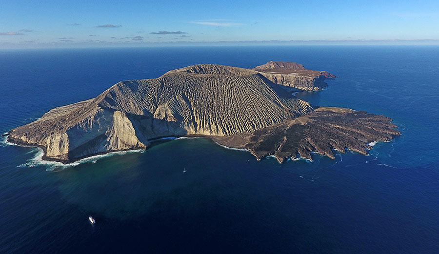Isla Socorro in the Revillagigedo Archipelago is now part of North America's largest ocean reserve.