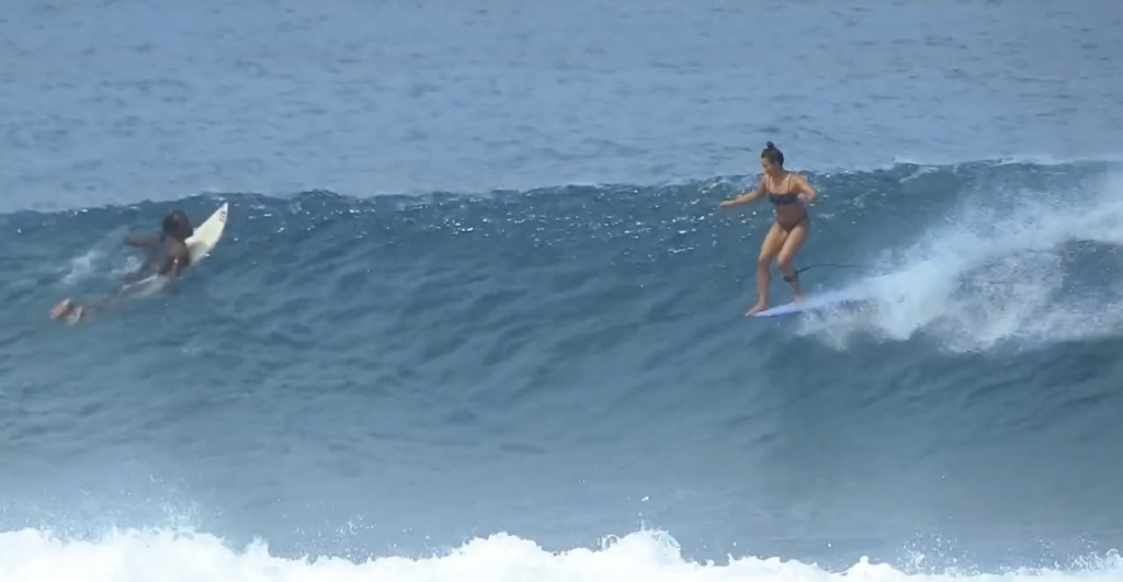 In a few short weeks, the North Shore is going to turn into a zoo.