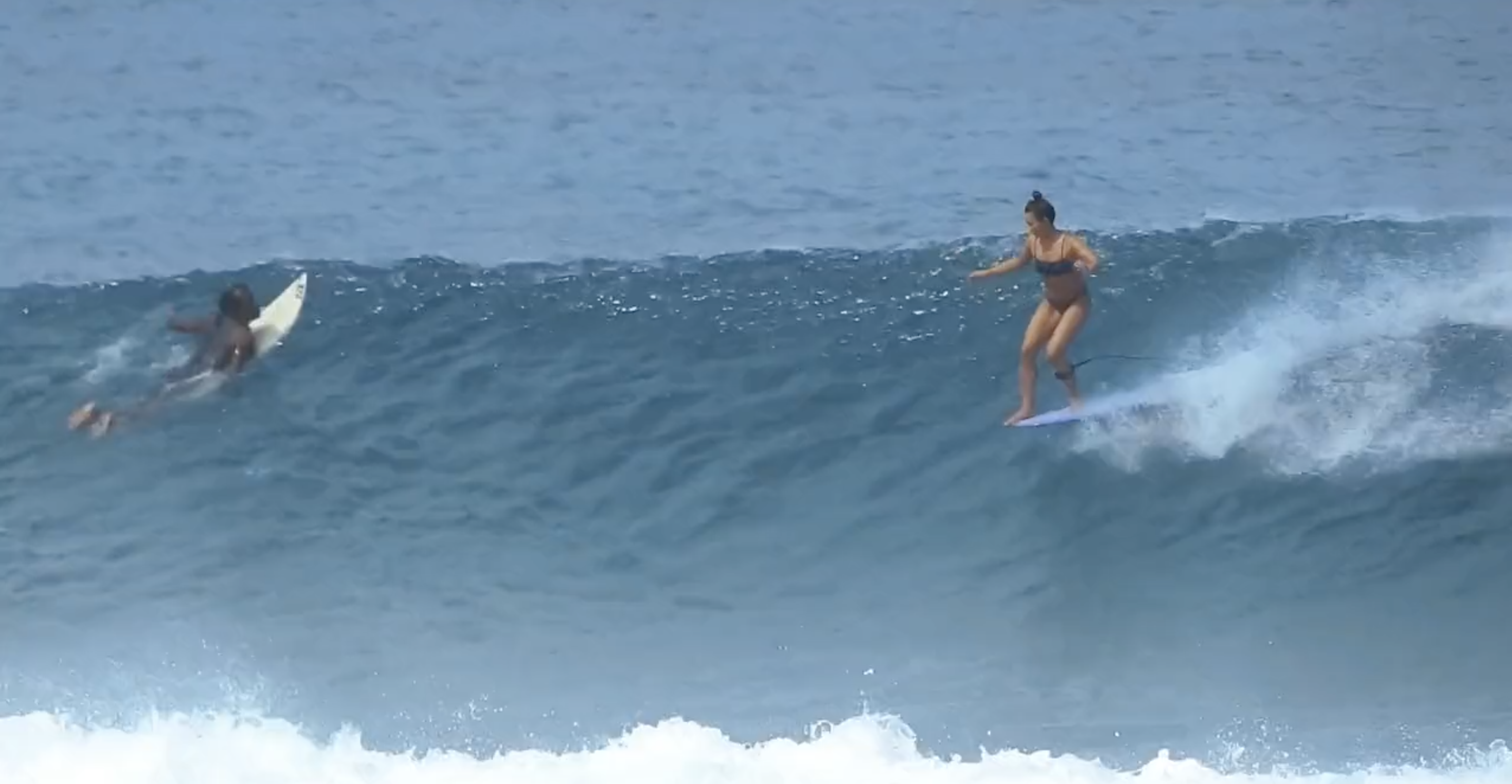In a few short weeks, the North Shore is going to turn into a zoo.
