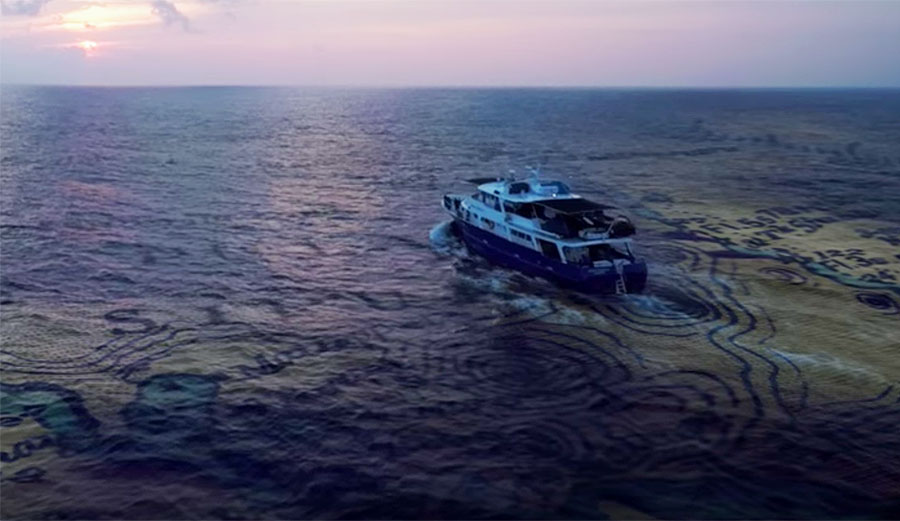 Martin Daly is surfing's greatest explorer.
