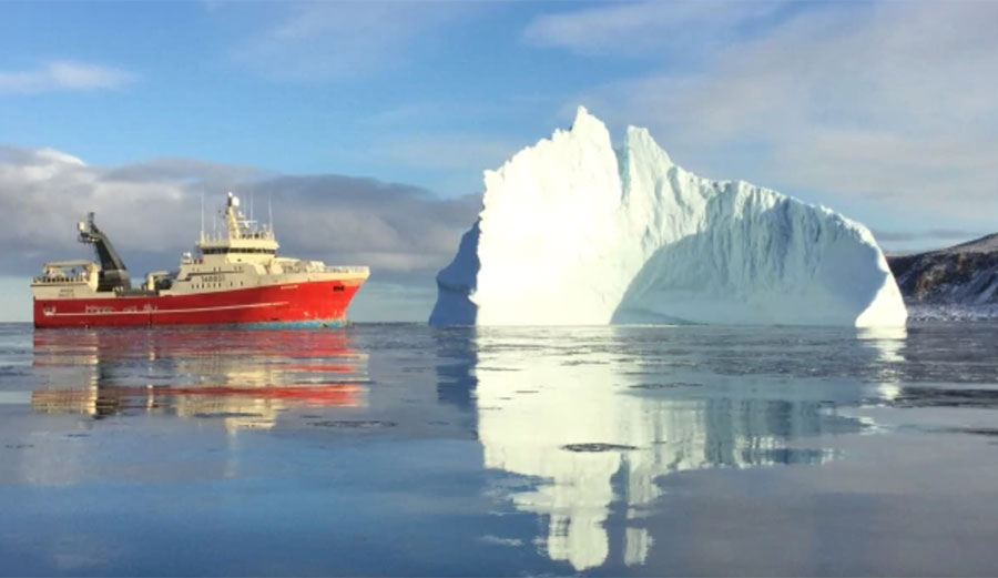 Commercial fishing in the Arctic Ocean has just been banned for 16 years. Photo: CBC