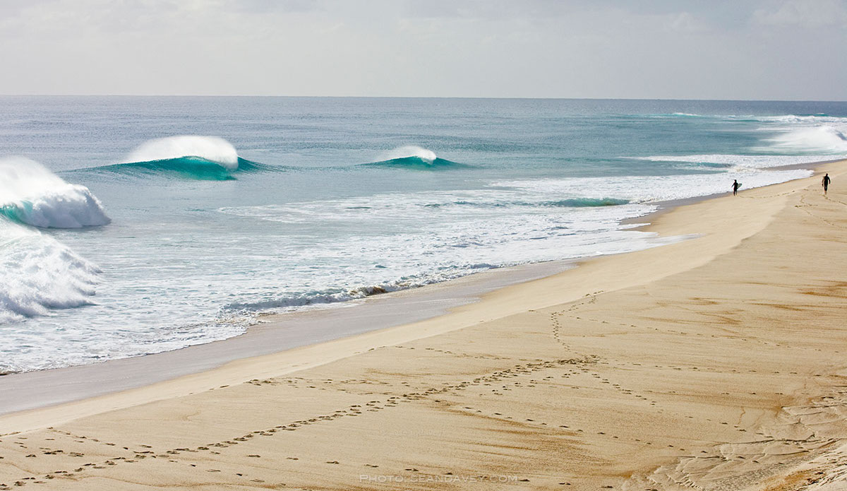 Martha Island. Photo: Sean Davey