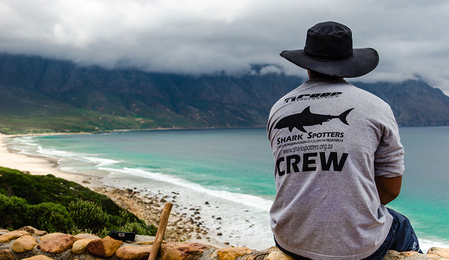Shark spotter in action. Image: Simon Geer