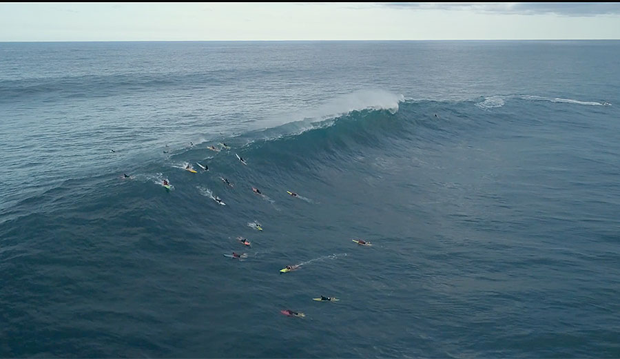 You have, of course, rested your eyeballs on some kind of Jaws footage from the last couple of days.