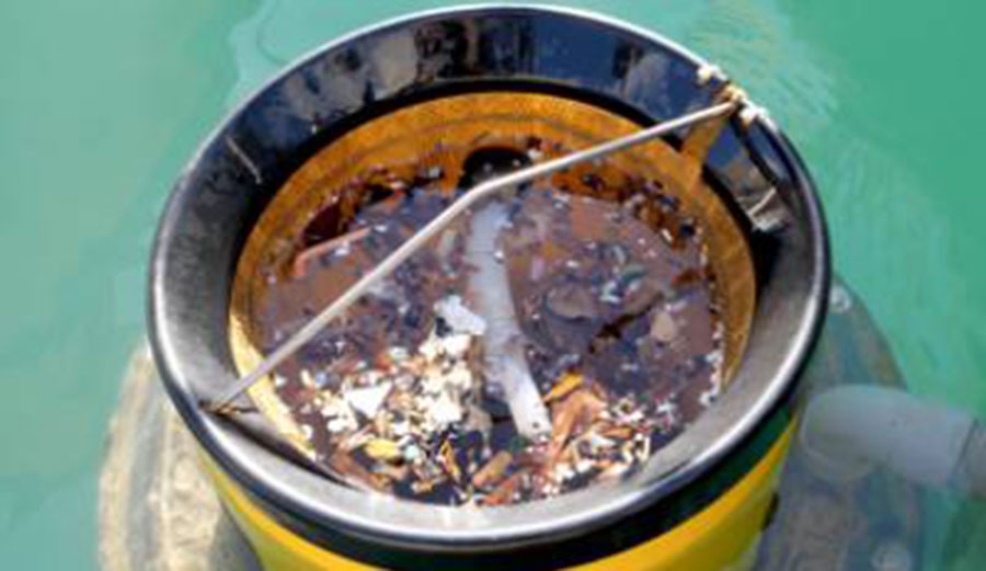 Hey Seabin, you're on garbage duty! Image: Seabin