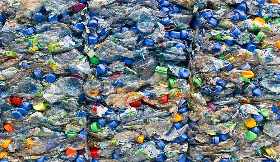 Photo: Shutterstock