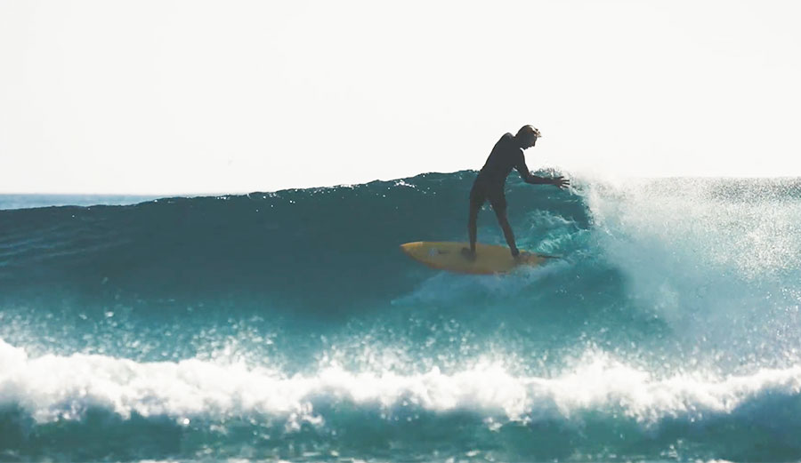 Hey Everyone! Look How Fun Surfing Is!