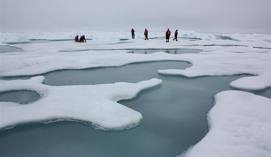 Scientists on Arctic sea ice in the Chukchi Sea, surrounded by melt ponds, July 4, 2010.
