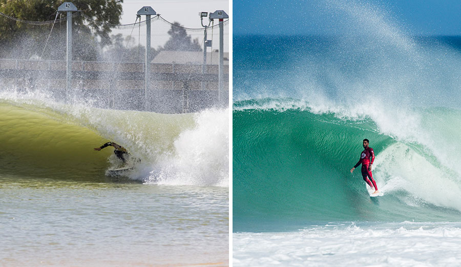 A rose by any other name would smell as sweet. Photos: WSL