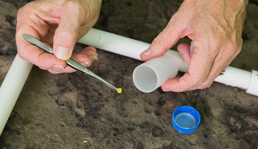 Microplastic in the soil is extremely difficult to track (or remove).