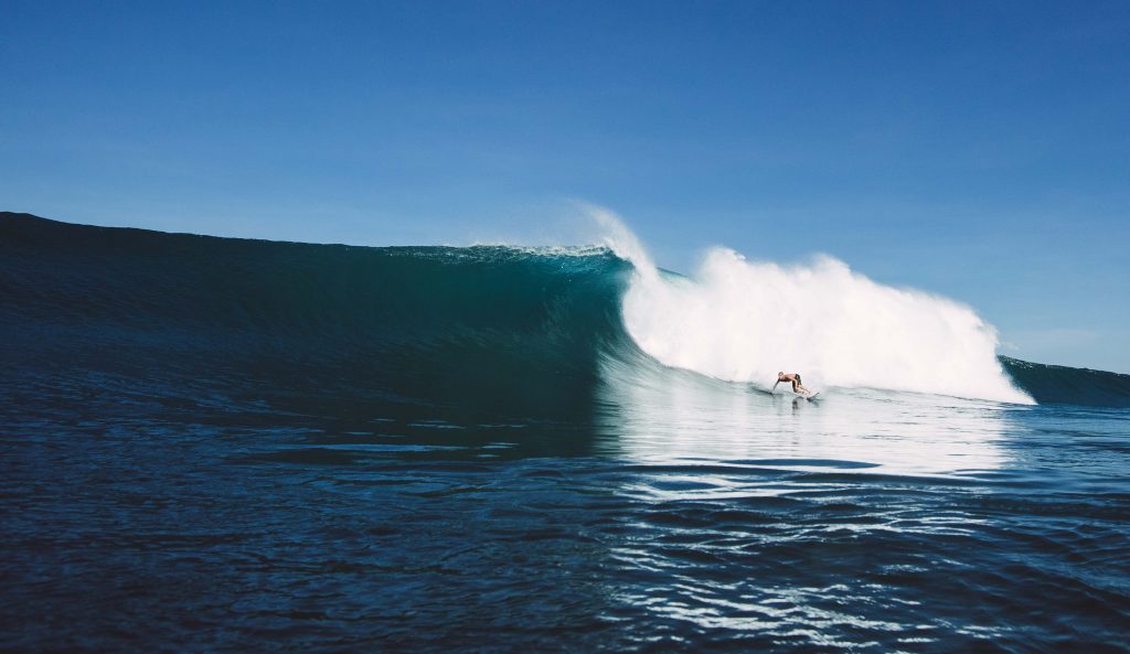 Mick fanning perfect waves rip curl search