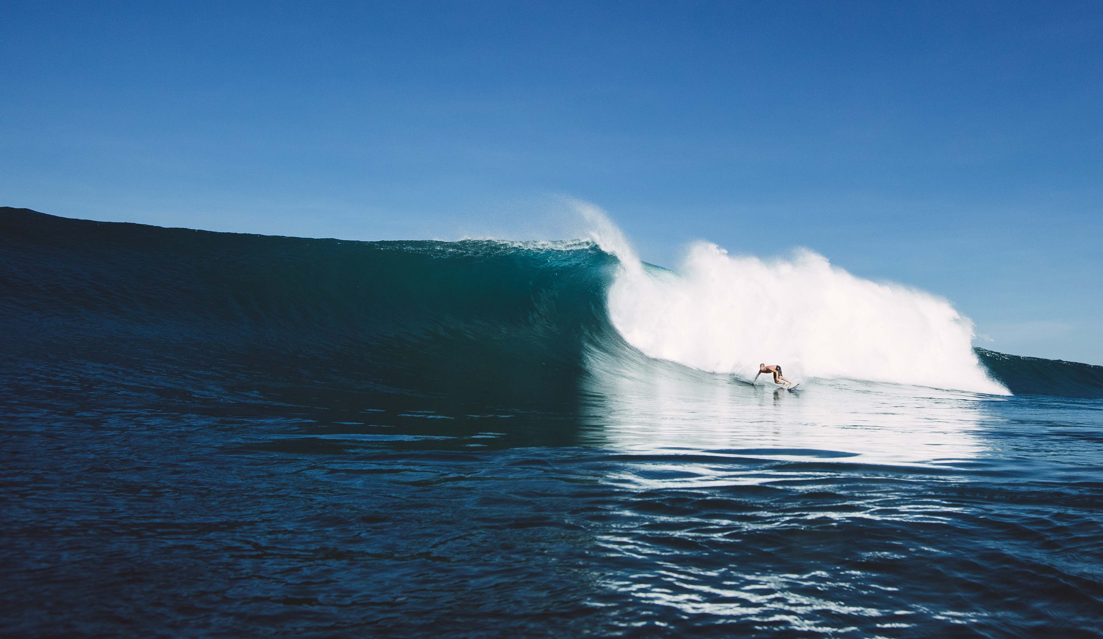 Mick fanning perfect waves rip curl search