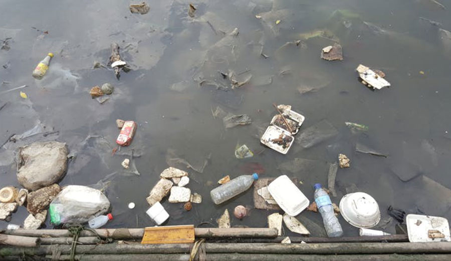 The most dangerous element from discarded plastic waste is microplastics. Image: Shutterstock
