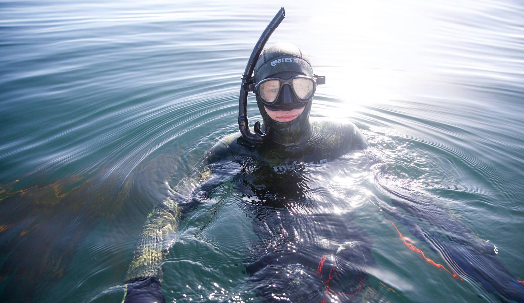 Spearfishing Kyle Thiermann Diving