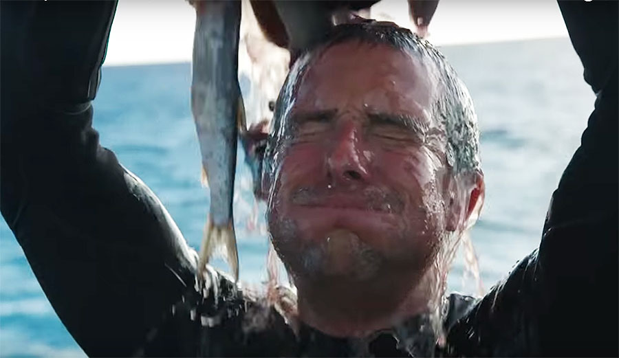 bear grylls pours chum for bull sharks