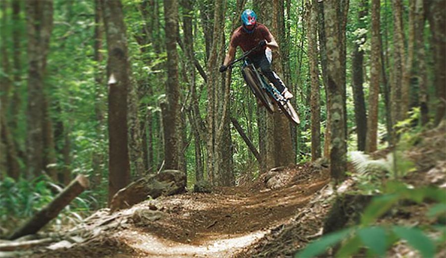 surfing, mountain biking, albee layer