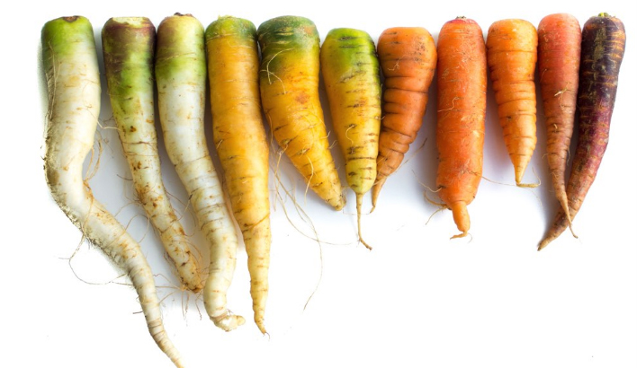 Imperfect produce doesn't mean it's not delicious and nutritious. It's just not a cover model. Photo: Imperfectproduce.com