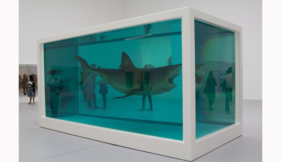 Damien Hirst shark artwork