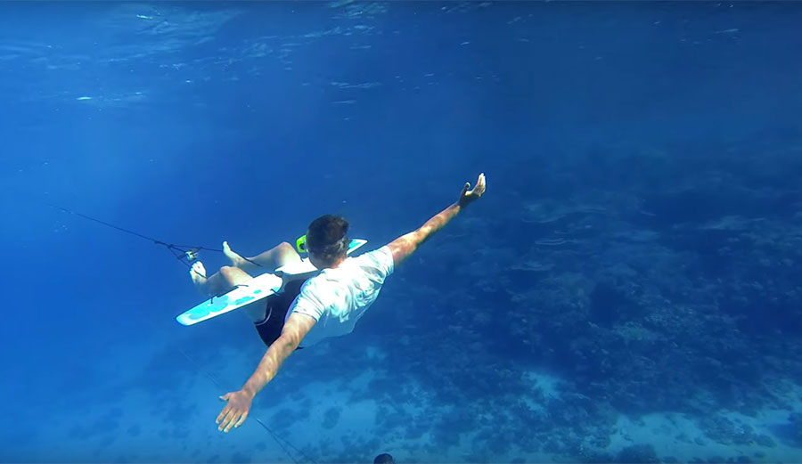 Subwing flying underwater