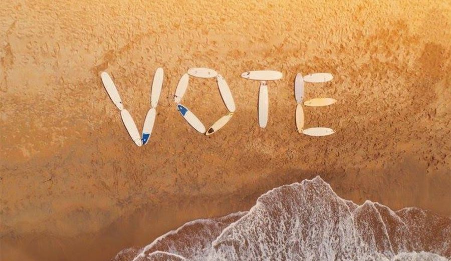 You surf. You should vote. Image: Blue Uprising/Facebook
