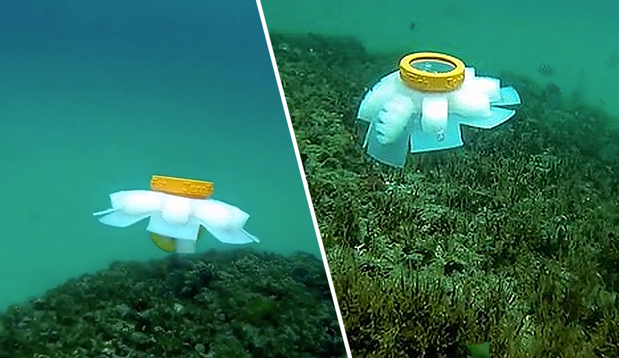 jellyfish, robots, explore, observe, Reddit, Flipboard