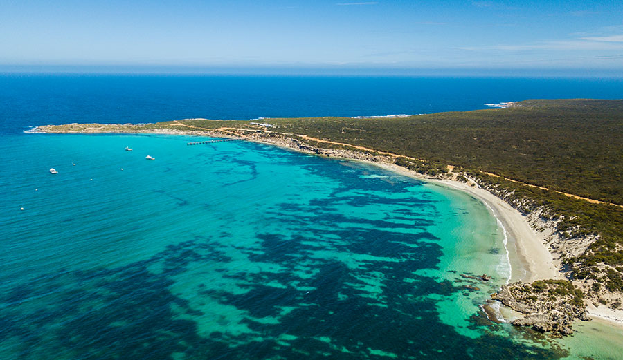 shark spotting drone australia