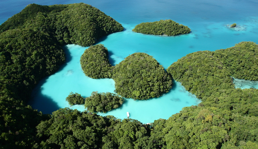 Palau not only just banned sunscreens known to harm coral reefs. By 2020, if you're caught using them you could be slapped with a heavy fine. Photo: Wikimedia Commons