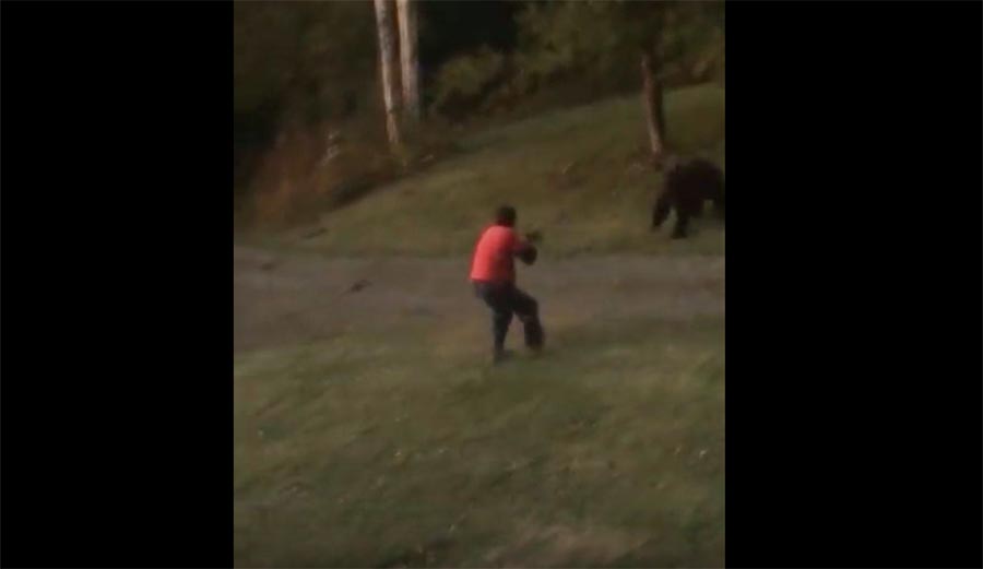 Grizzly Bear, Bella Coola, B.C., shotgun