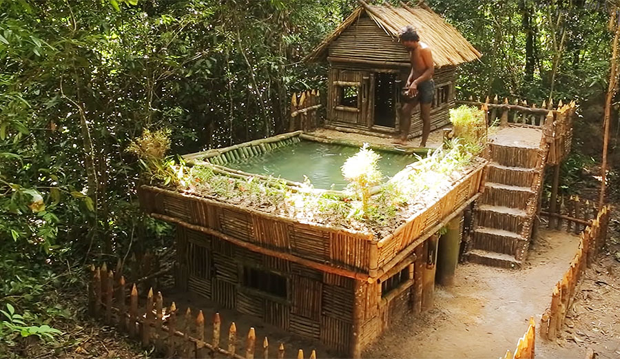House in the jungle