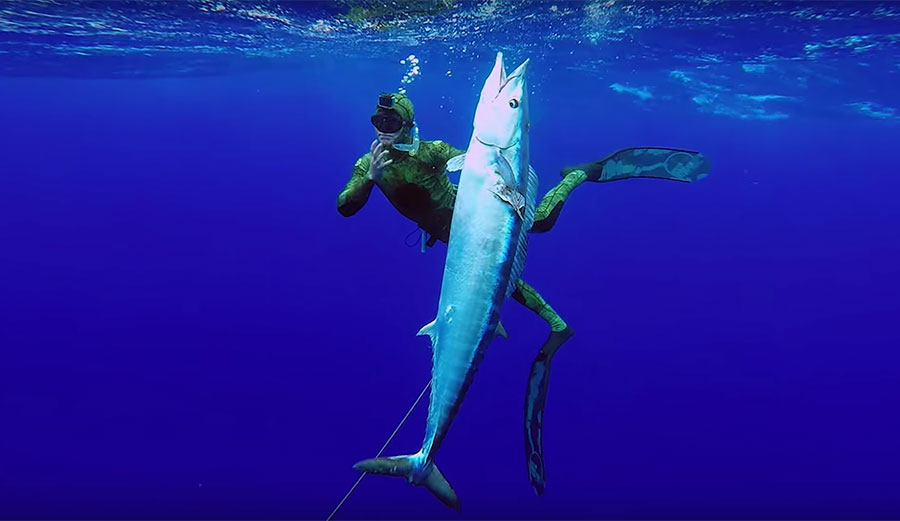 Mark healey spearfishing giant wahoo