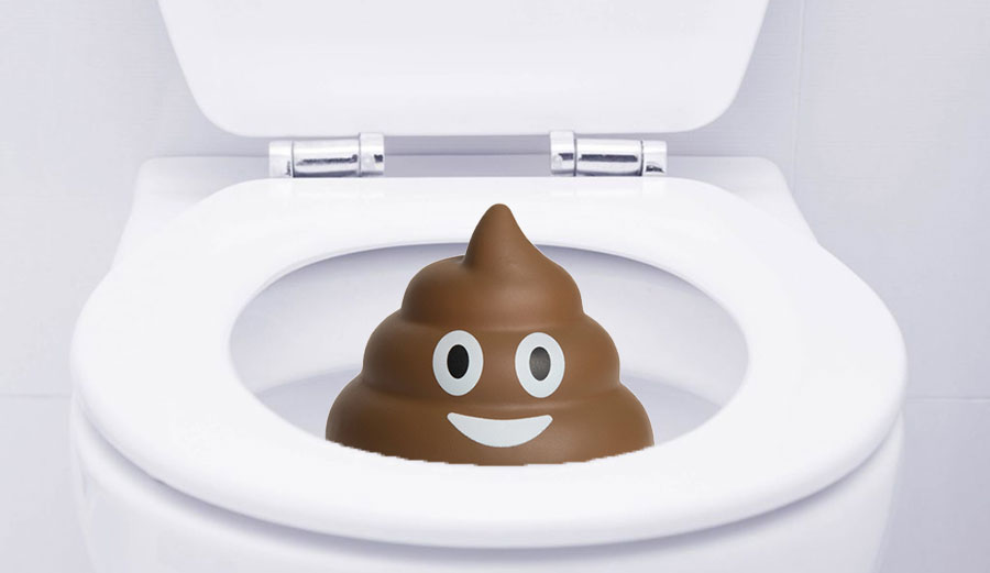 Microplastic in poo