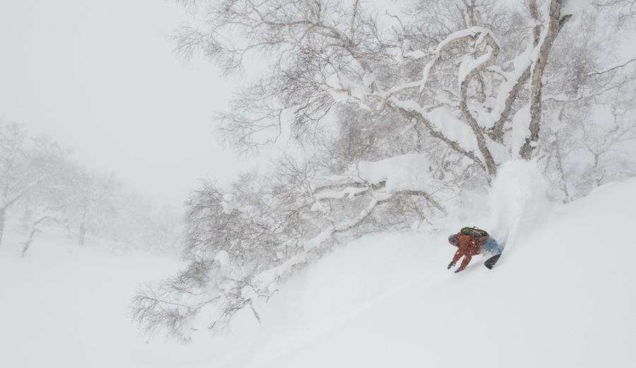 Patagonia's new film, Treeline, is a love letter to forests that bring us life. Photo: Patagonia