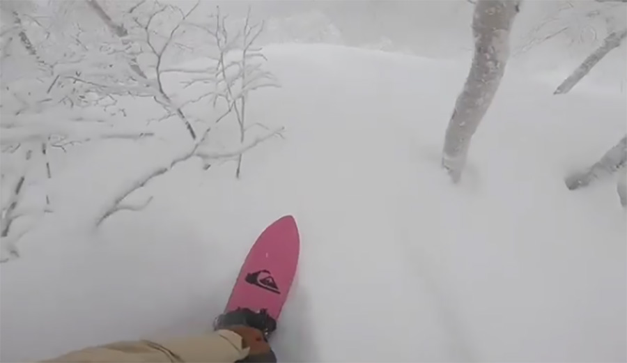 Lines We Love, Bryan Fox, pow, japan, powder, snowboarding