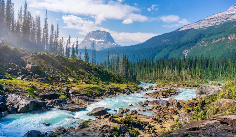 "Our home planet needs it more than we do." – Patagonia CEO Rose Marcario. Photo: Hendrik Cornelissen/Unsplash